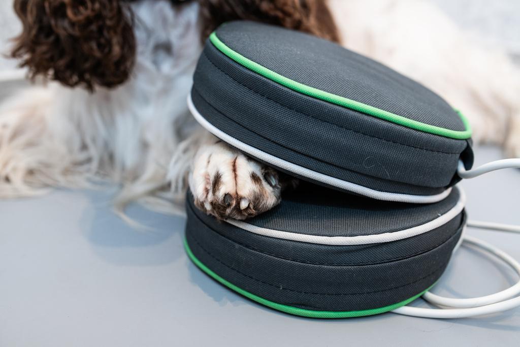 rehabilitacja zwierząt Warszawa