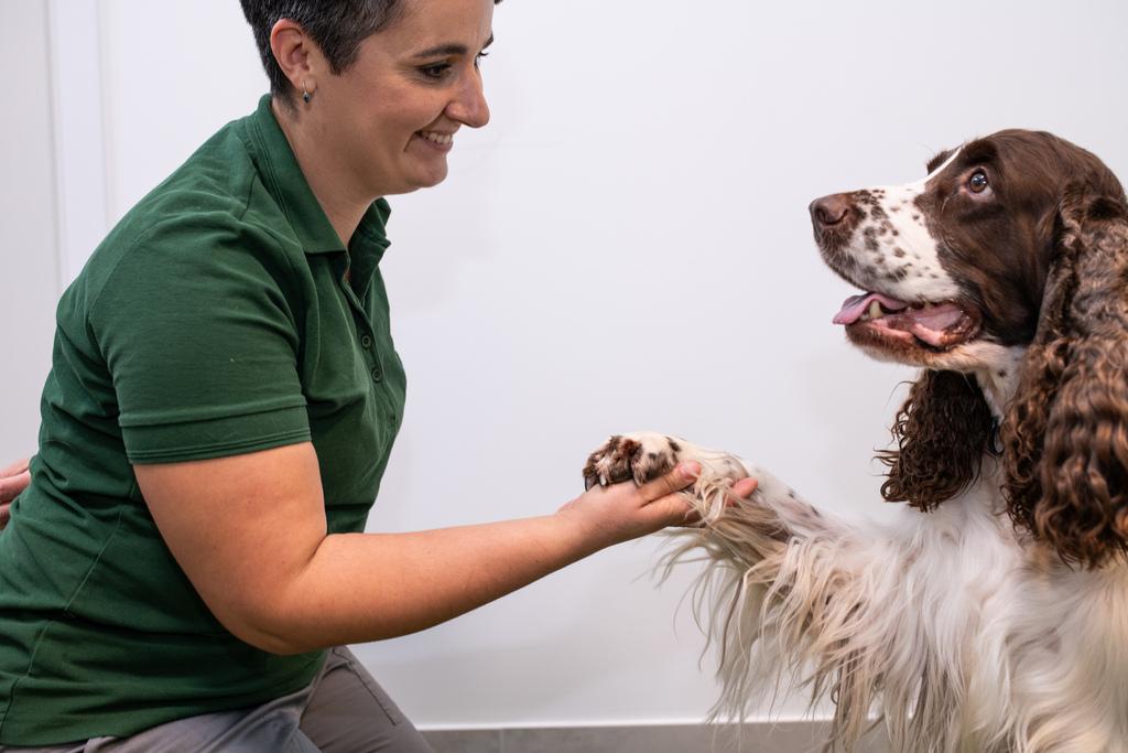 rehabilitacja zwierząt Warszawa