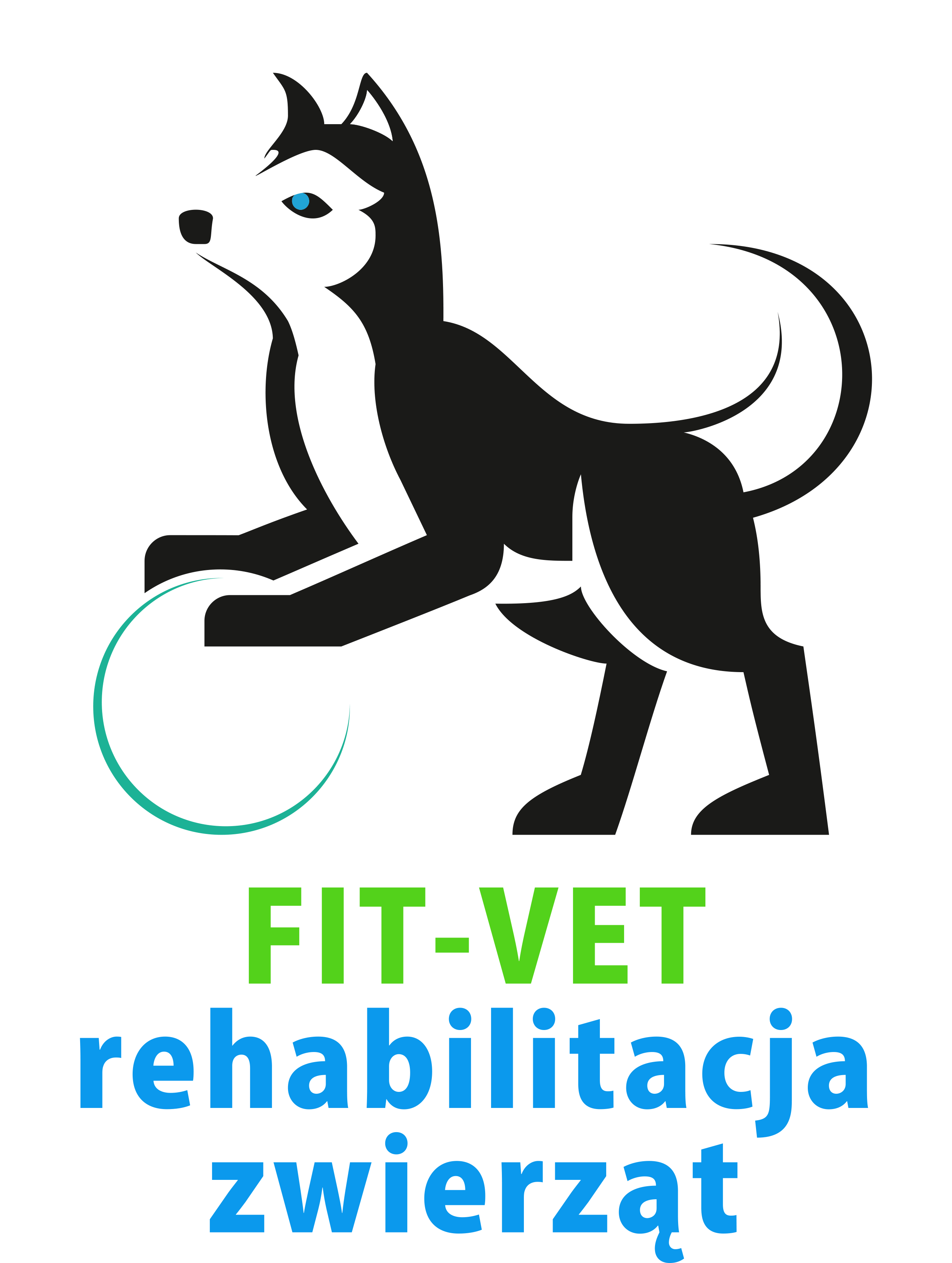 FIT-VET rehabilitacja zwierząt